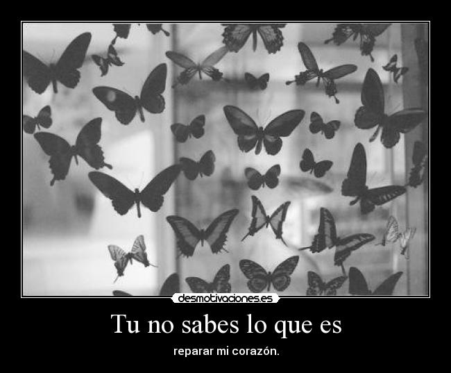 Tu no sabes lo que es -