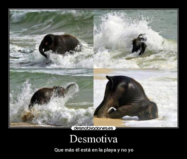 Desmotiva - Que más él está en la playa y no yo