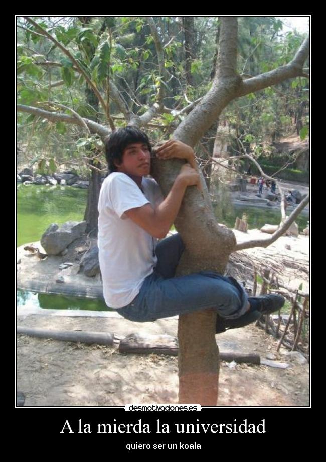 A la mierda la universidad -