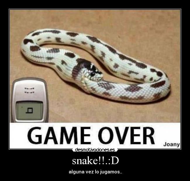 snake!!.:D - 