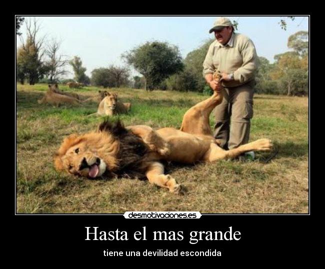 Hasta el mas grande - tiene una devilidad escondida