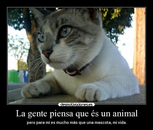 La gente piensa que és un animal - 