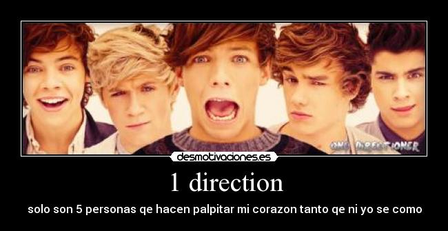 1 direction -