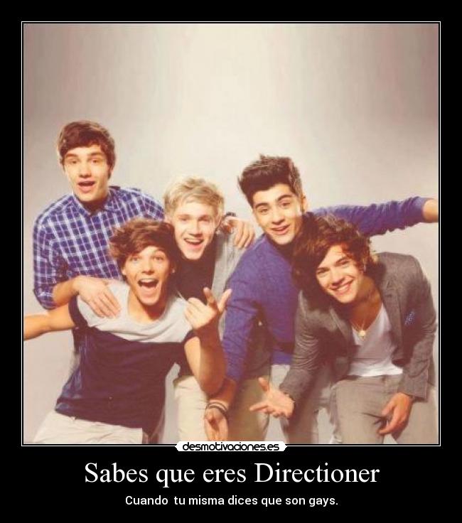 Sabes que eres Directioner -