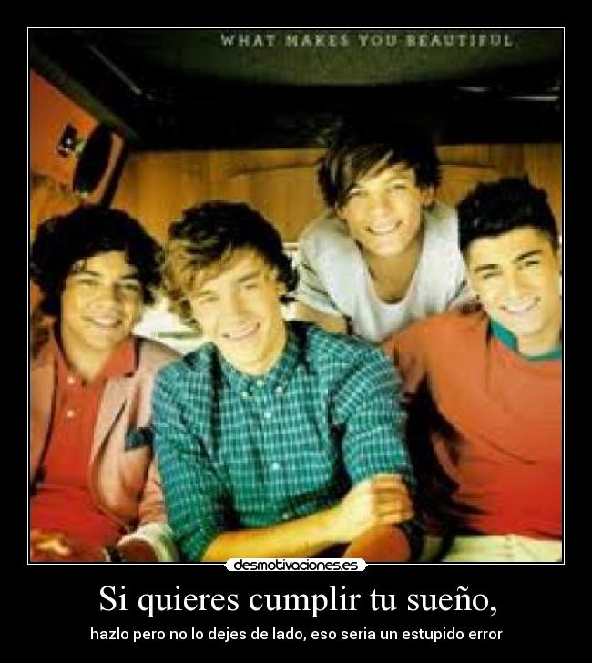 carteles one direction desmotivaciones