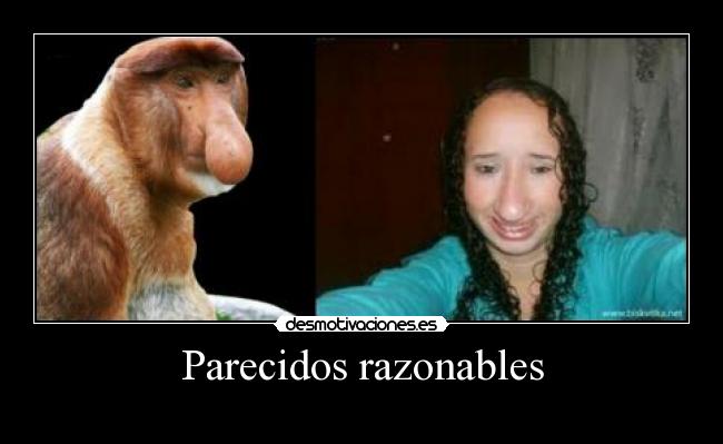 Parecidos razonables - 