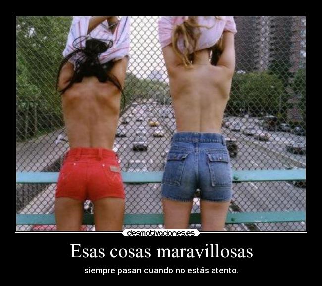 Esas cosas maravillosas -