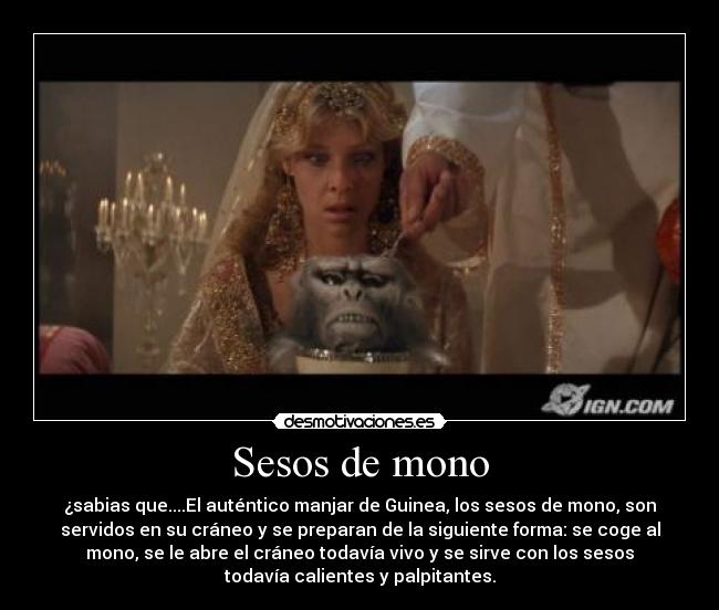 Sesos de mono - ¿sabias que....El auténtico manjar de Guinea, los sesos de mono, son
servidos en su cráneo y se preparan de la siguiente forma: se coge al
mono, se le abre el cráneo todavía vivo y se sirve con los sesos
todavía calientes y palpitantes.