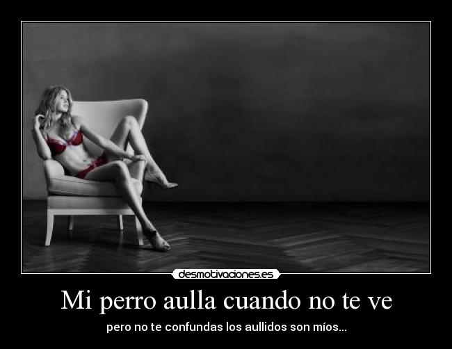 Mi perro aulla cuando no te ve - pero no te confundas los aullidos son míos...