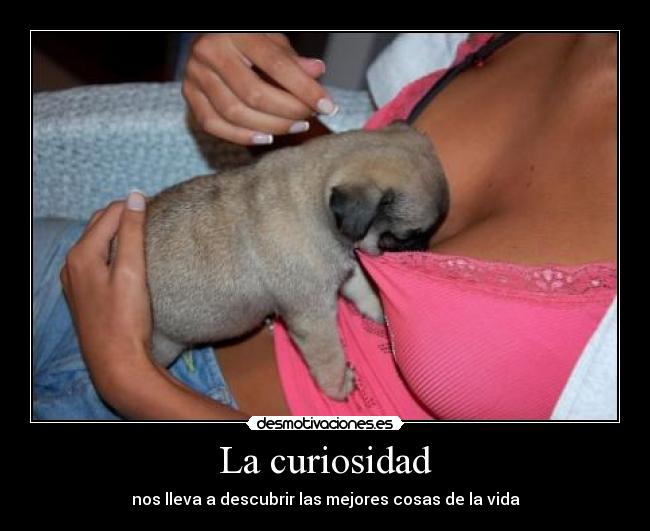 La curiosidad - nos lleva a descubrir las mejores cosas de la vida