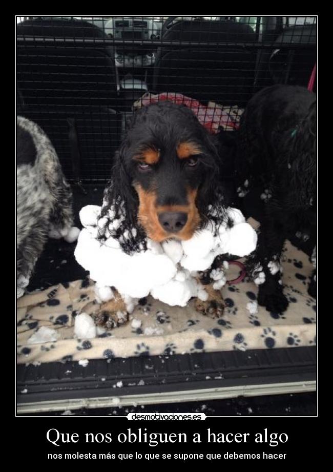 Que nos obliguen a hacer algo - nos molesta más que lo que se supone que debemos hacer