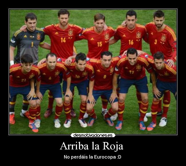 Arriba la Roja - No perdáis la Eurocopa :D