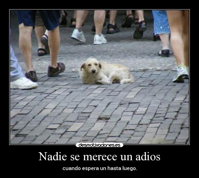 Nadie se merece un adios -