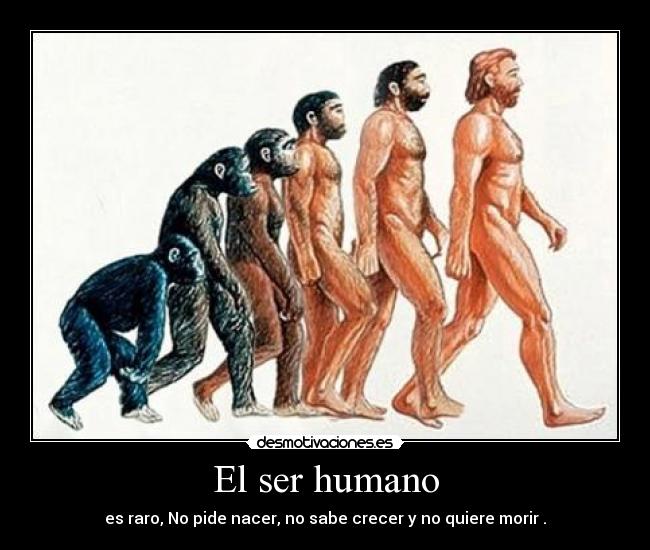 El ser humano - es raro, No pide nacer, no sabe crecer y no quiere morir .