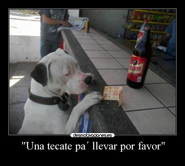 Una tecate pa´ llevar por favor - 