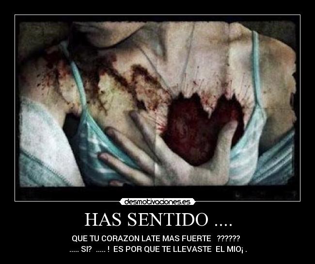 HAS SENTIDO .... -