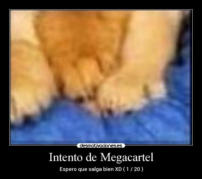 Intento de Megacartel - Espero que salga bien XD ( 1 / 20 )
