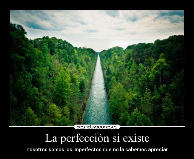 La perfección si existe - 