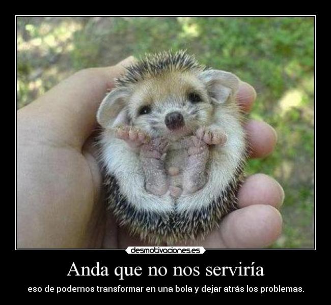 Anda que no nos serviría -