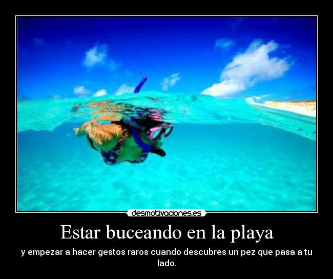 Estar buceando en la playa - 