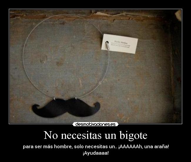 carteles rogertuba maricas ebrywhere not desmotivaciones