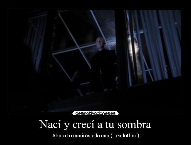 Nací y crecí a tu sombra -