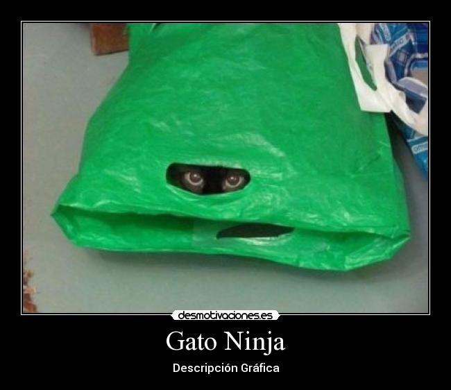 Gato Ninja - Descripción Gráfica