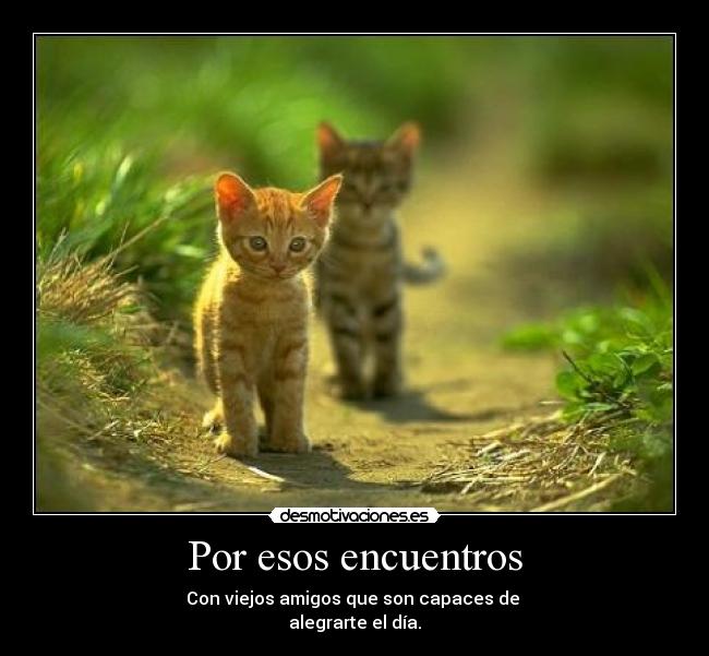 Por esos encuentros -