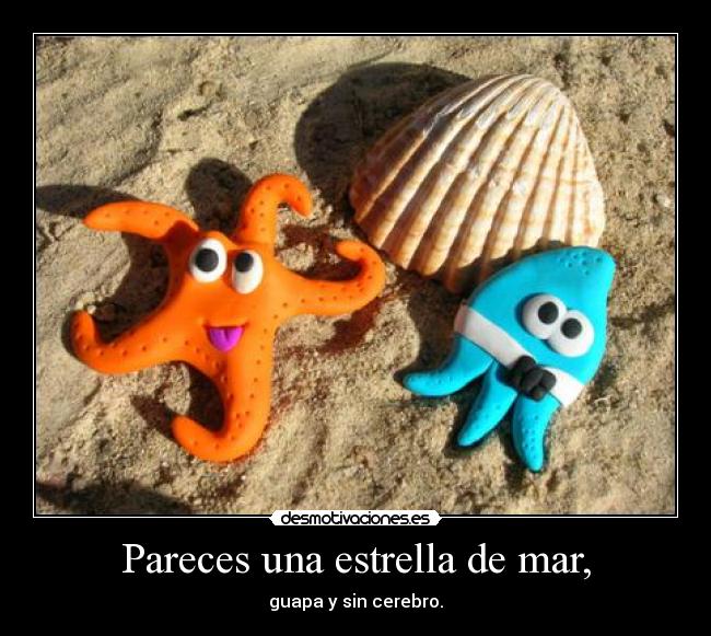 Pareces una estrella de mar, - guapa y sin cerebro.