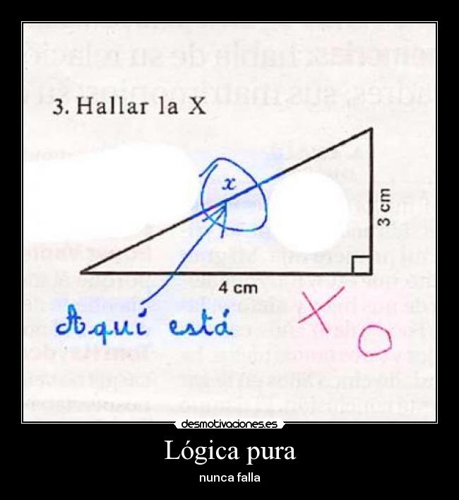 Lógica pura - nunca falla