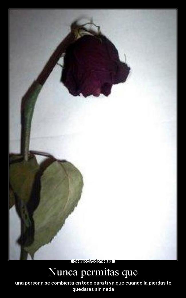 Nunca permitas que - una persona se combierta en todo para ti ya que cuando la pierdas te
quedaras sin nada