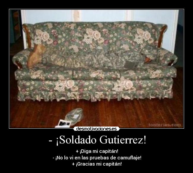 - ¡Soldado Gutierrez! - + ¡Diga mi capitán!
- ¡No lo vi en las pruebas de camuflaje!
+ ¡Gracias mi capitán!