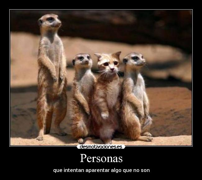 Personas - 