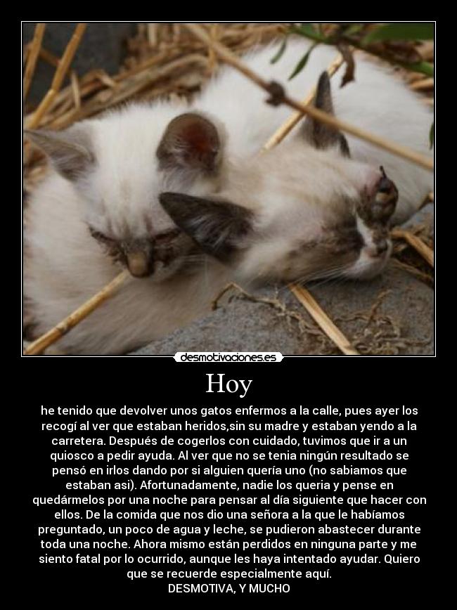 Hoy - he tenido que devolver unos gatos enfermos a la calle, pues ayer los
recogí al ver que estaban heridos,sin su madre y estaban yendo a la
carretera. Después de cogerlos con cuidado, tuvimos que ir a un
quiosco a pedir ayuda. Al ver que no se tenia ningún resultado se
pensó en irlos dando por si alguien quería uno (no sabiamos que
estaban asi). Afortunadamente, nadie los queria y pense en
quedármelos por una noche para pensar al día siguiente que hacer con
ellos. De la comida que nos dio una señora a la que le habíamos
preguntado, un poco de agua y leche, se pudieron abastecer durante
toda una noche. Ahora mismo están perdidos en ninguna parte y me
siento fatal por lo ocurrido, aunque les haya intentado ayudar. Quiero
que se recuerde especialmente aquí.
DESMOTIVA, Y MUCHO
