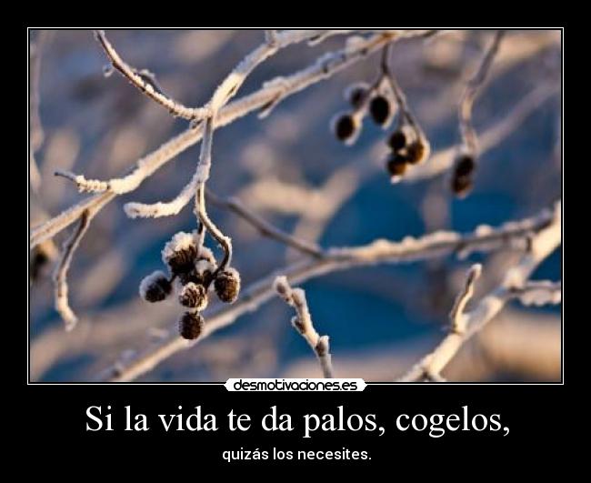 Si la vida te da palos, cogelos, -