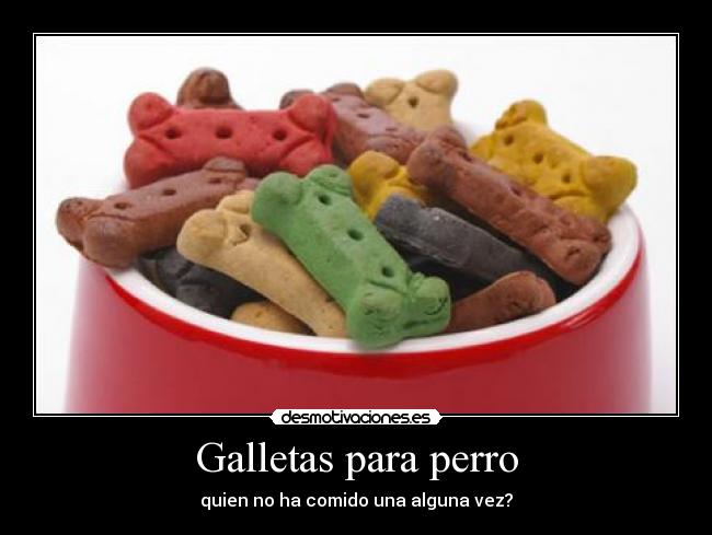 Galletas para perro - quien no ha comido una alguna vez?