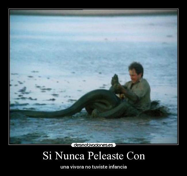 Si Nunca Peleaste Con - una vivora no tuviste infancia