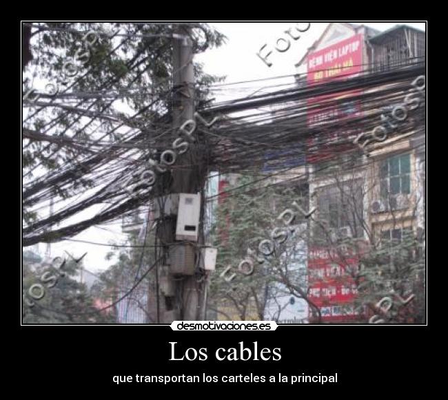 Los cables -