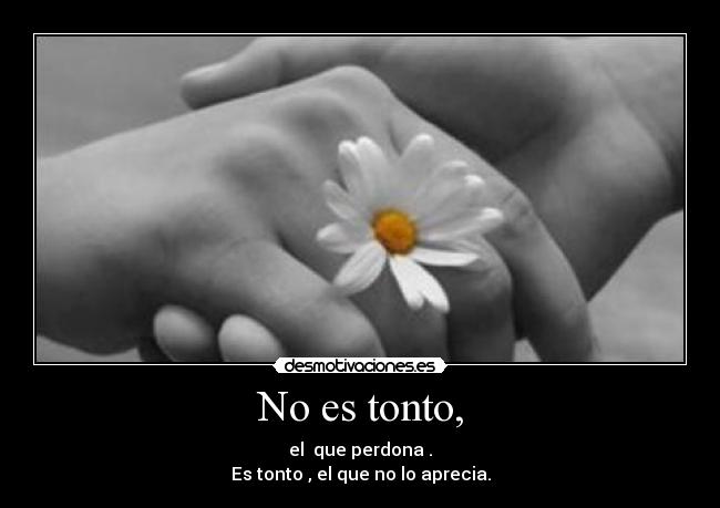 carteles tonto hristina desmotivaciones