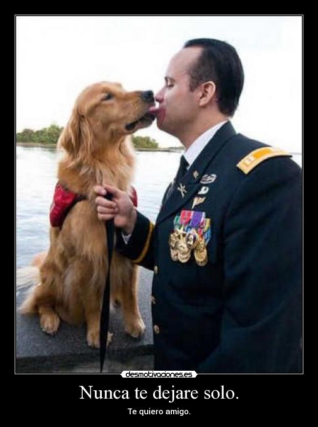 carteles nunca desmotivaciones