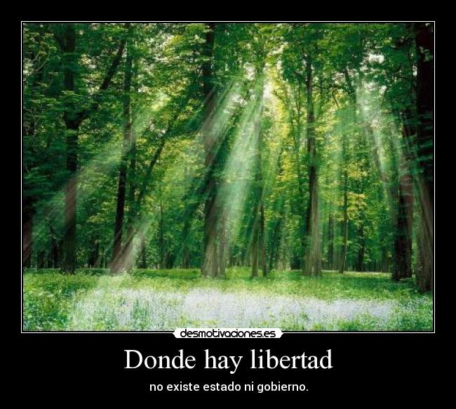 Donde hay libertad - no existe estado ni gobierno.