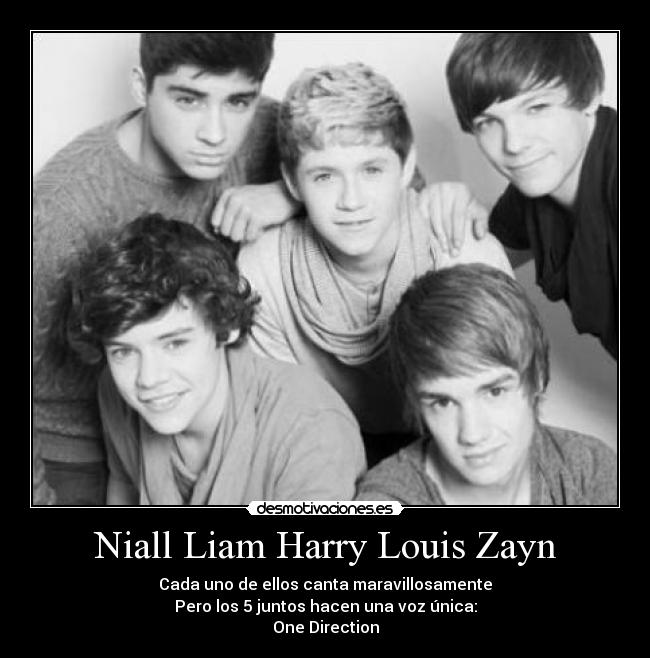 Niall Liam Harry Louis Zayn - Cada uno de ellos canta maravillosamente
Pero los 5 juntos hacen una voz única:
One Direction