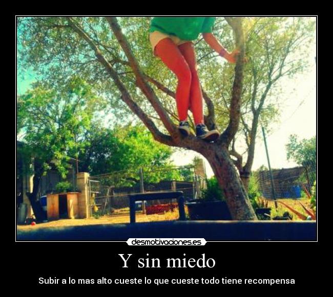 Y sin miedo -