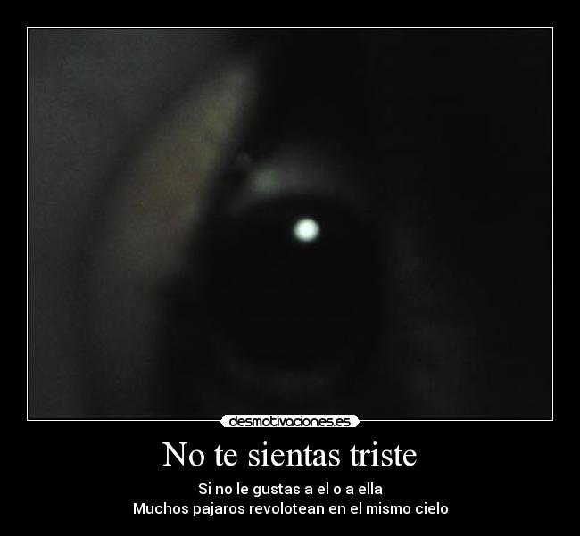 No te sientas triste - Si no le gustas a el o a ella
Muchos pajaros revolotean en el mismo cielo