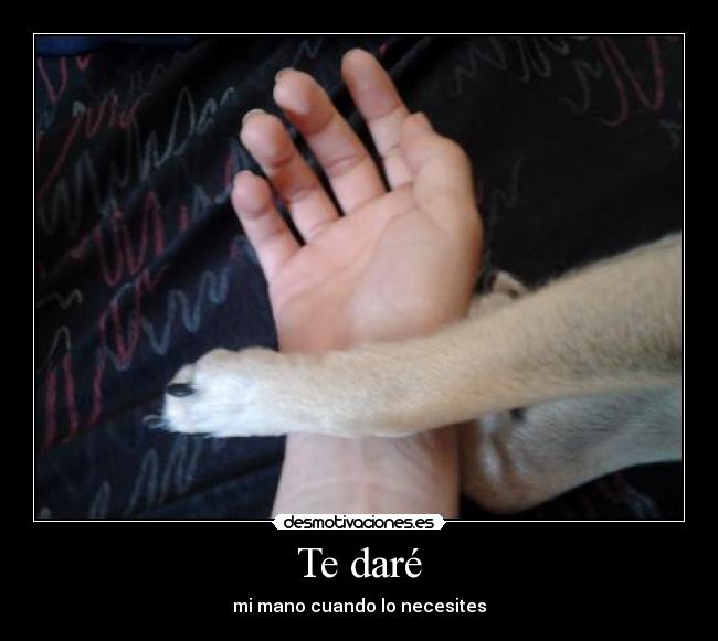 carteles dar mano animales desmotivaciones