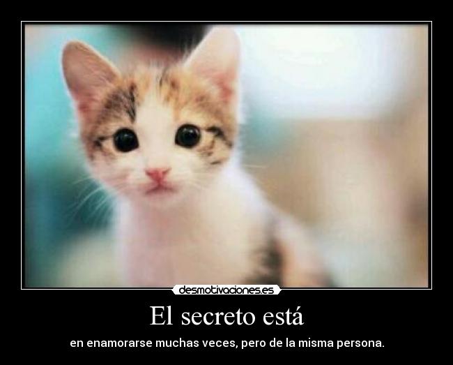 El secreto está - en enamorarse muchas veces, pero de la misma persona.