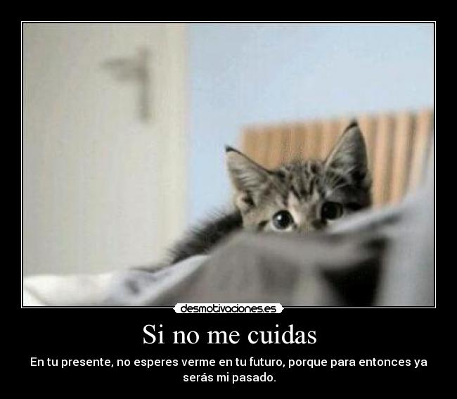 Si no me cuidas - En tu presente, no esperes verme en tu futuro, porque para entonces ya
serás mi pasado.