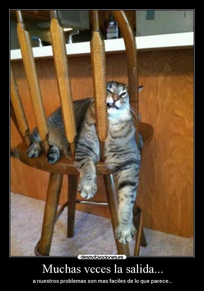 Muchas veces la salida... -