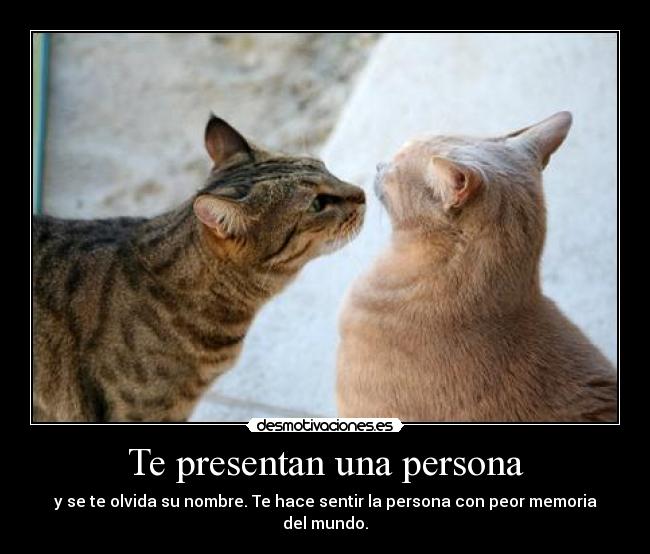 Te presentan una persona - 