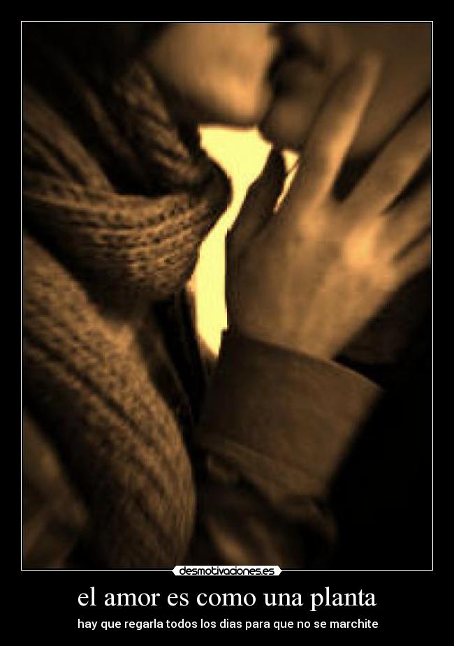 carteles amor amor desmotivaciones